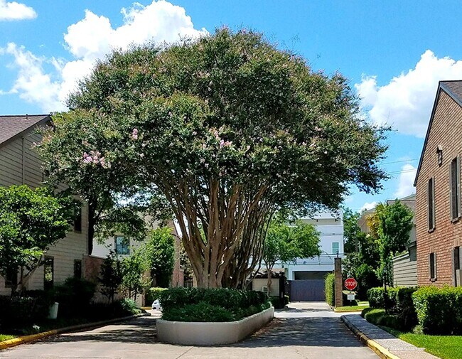 Foto del edificio - 1201 McDuffie St