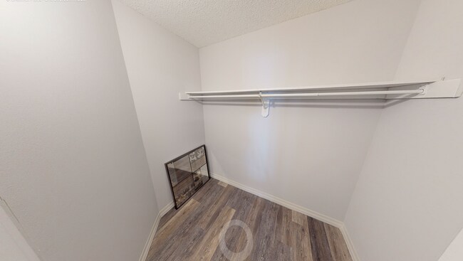 Closet - 849 N Dearborn St