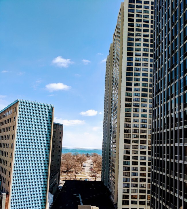 Lake view from bedrooms - 340 W Diversey Pkwy