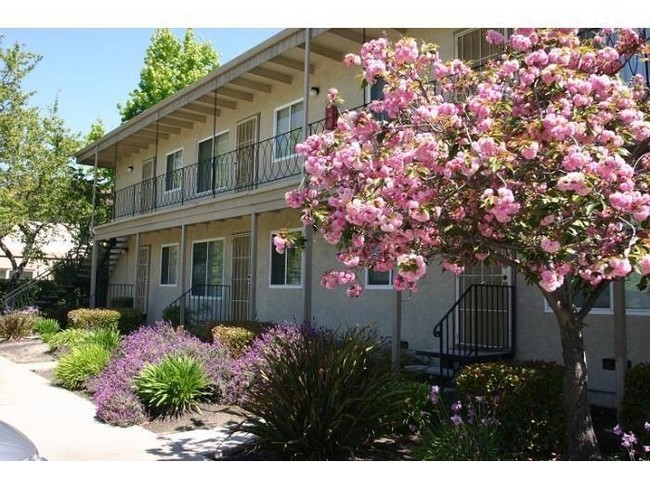 Grove Way Apartments - 2822 Grove Way