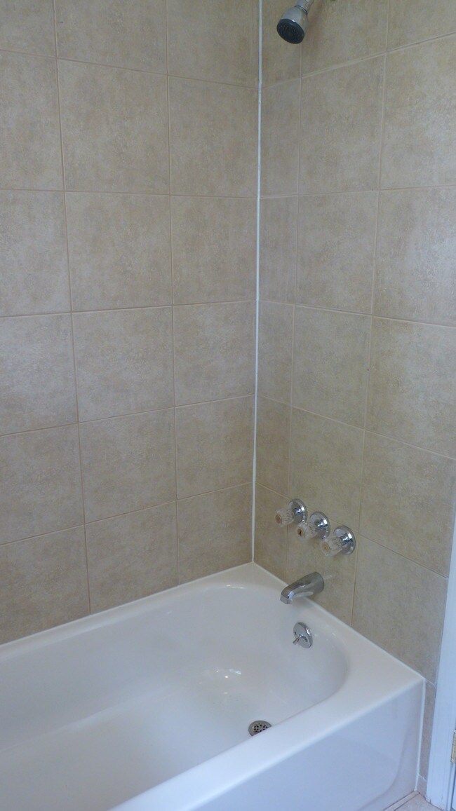 Bathtub - 1016 Deslonde St