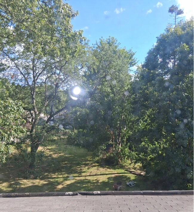 Foto del edificio - 1004 Butler Ave