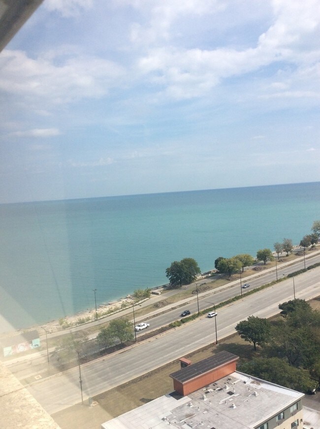 4800 S Chicago Beach Dr, Chicago, IL 60615 Condo for Rent in Chicago, IL
