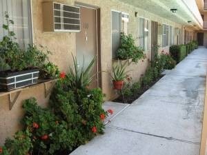Building Photo - 6300 Lankershim Blvd