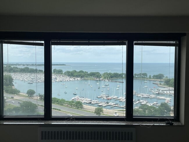 Building Photo - 3100 N Lake Shore Dr