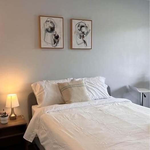 Photo du bâtiment - Newly Renovated Bachelor Suites