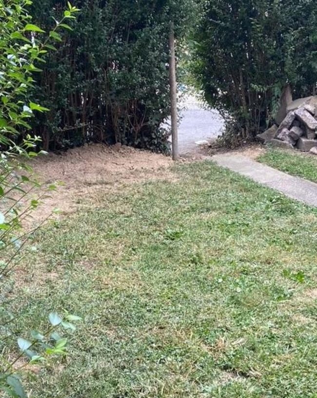 Building Photo - 1811 Mulberry St