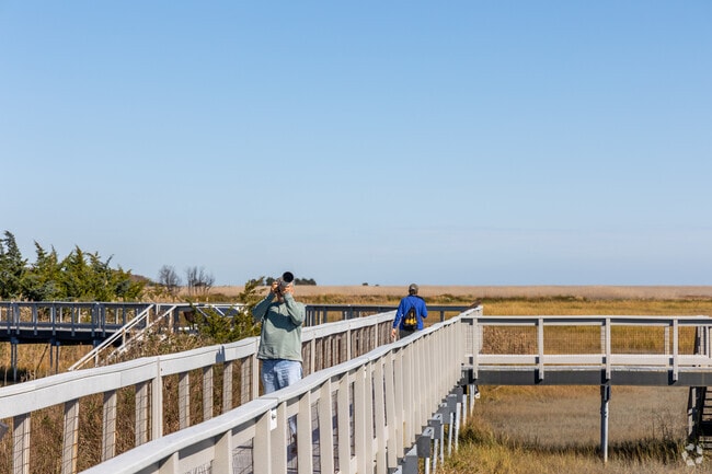 Edwin B. Forsythe National Wildlife Refuge is a haven for bird lovers near Absecon.