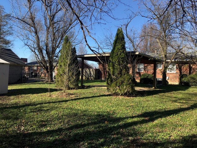 Backyard - 9608 Cedar Lake Dr