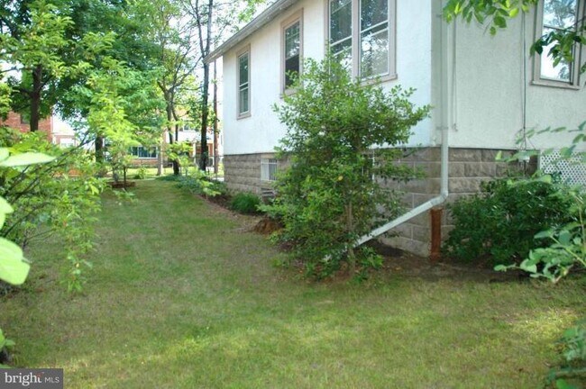 Backyard - 715 Underwood St NW