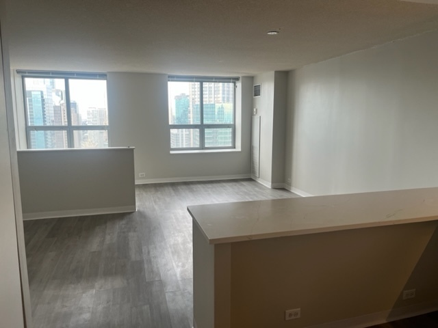 Foto del edificio - 474 N Lake Shore Dr