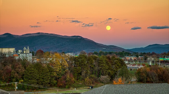 Building Photo - The View at Blue Ridge Commons