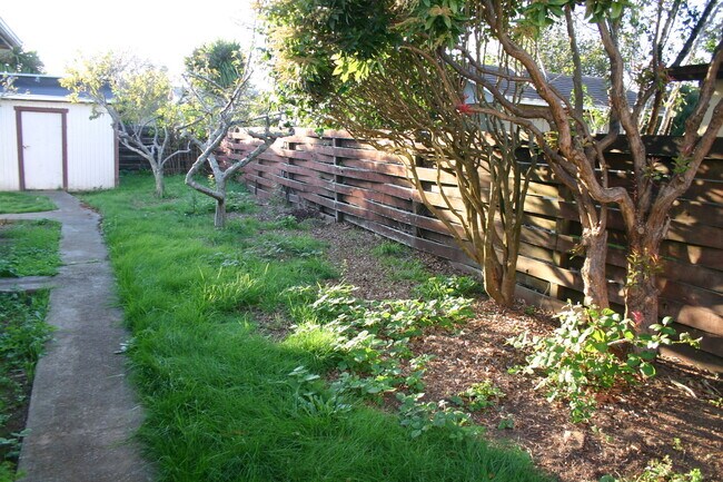Foto del edificio - Cutten 3 bedroom 2 bath, sunny patio, 2 ca...