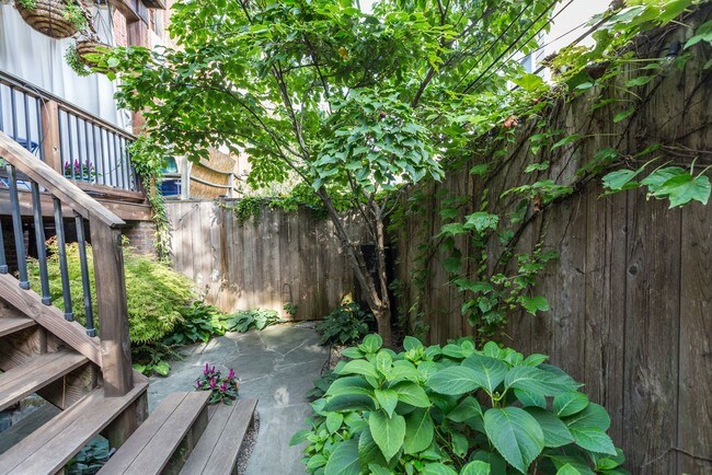 Back garden. - 166 Bryant St NW