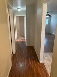 Foto del edificio - 3223 Brooktree Ln