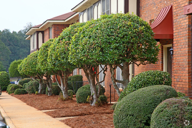 Building Photo - Windsor Apartments