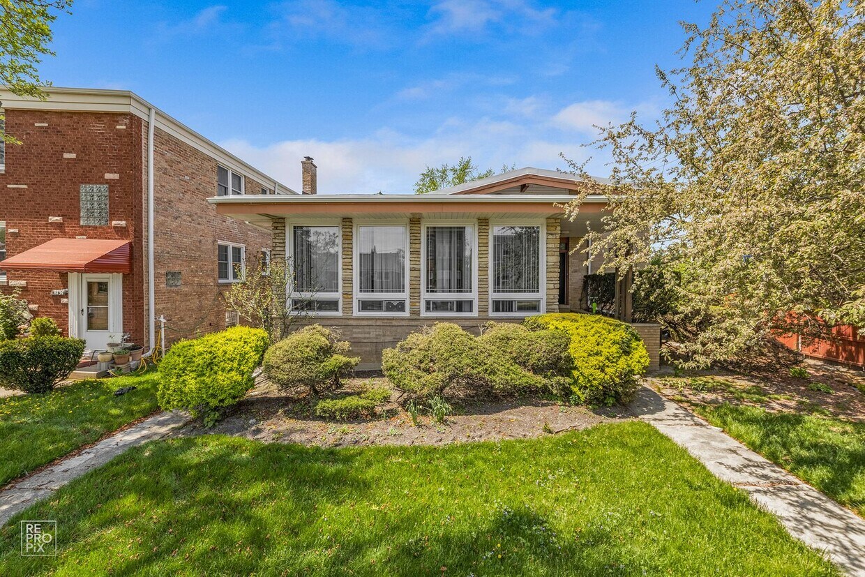 Primary Photo - Large Skokie Basement Apartment with Free ...