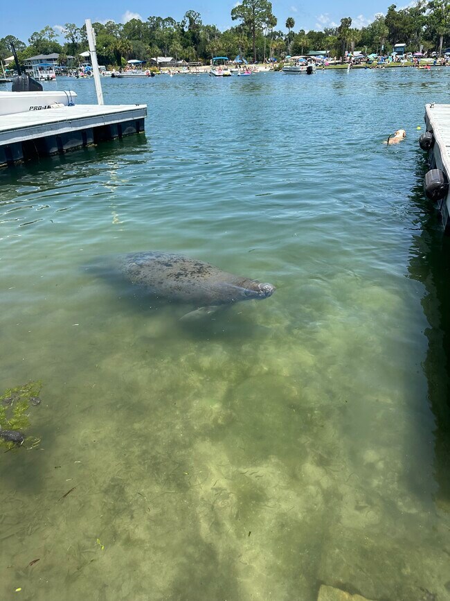 Foto del edificio - 30 SE Valare Ln