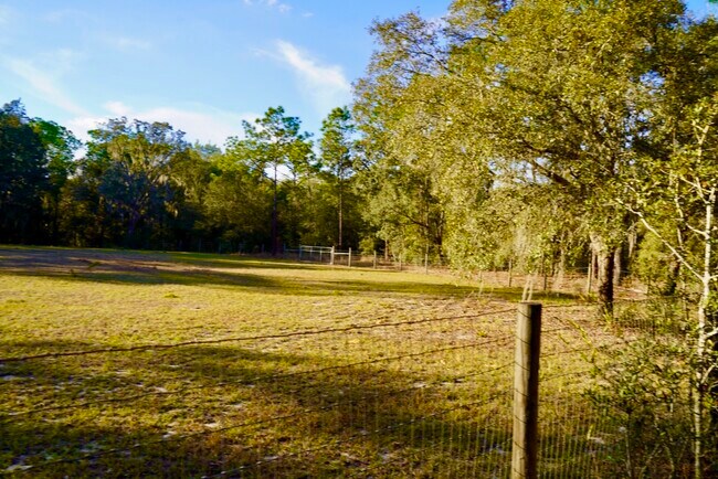 Building Photo - 29205 Saddle Oaks Ln