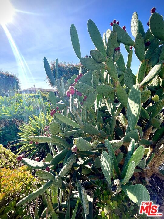 Foto del edificio - 3017 Urban Ave