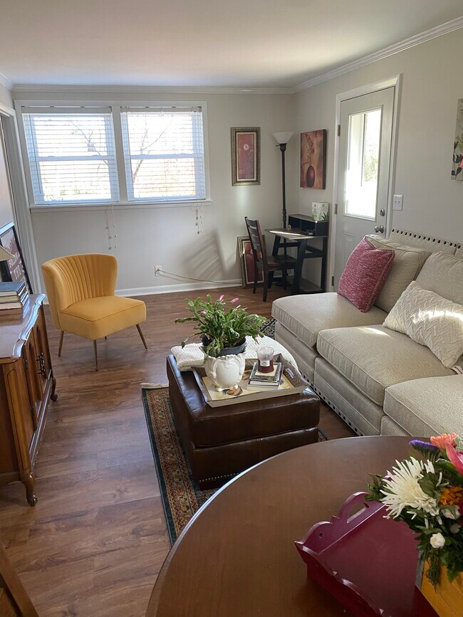 Living room - 805 Belton Dr