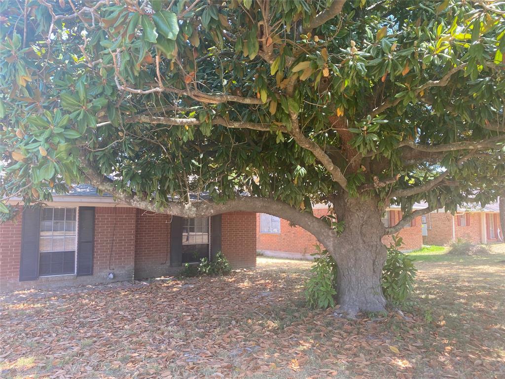 141 Slade St, Coldspring, TX 77331