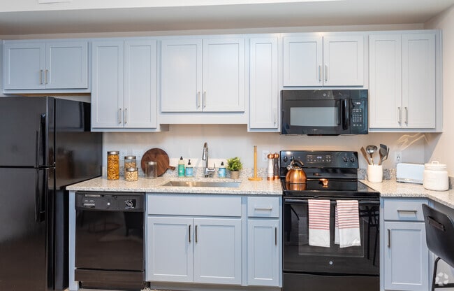 Interior Photo - Paloma Raleigh