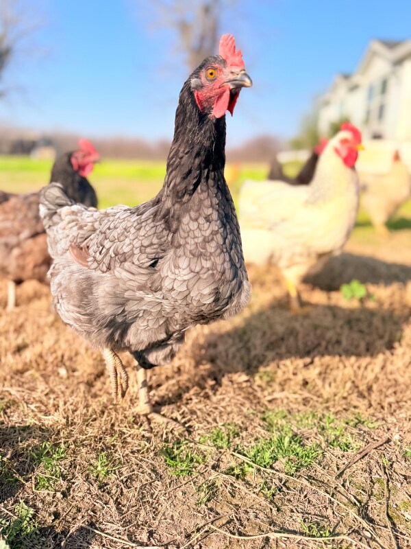 Building Photo - 14621 16th Ave