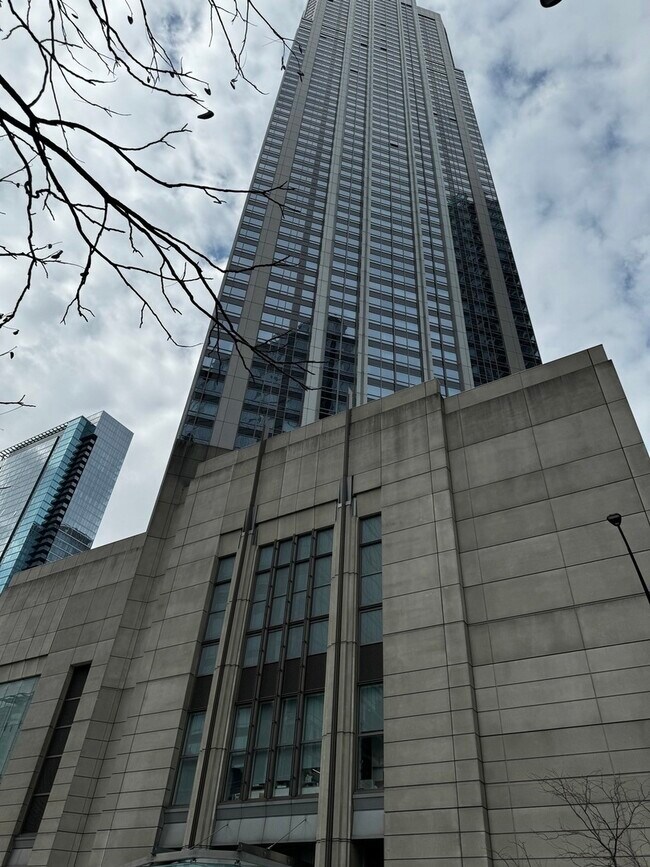 Building Photo - 512 N McClurg Ct