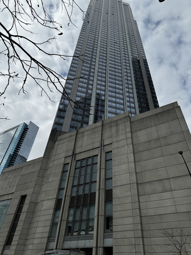 Building Photo - 512 N McClurg Ct