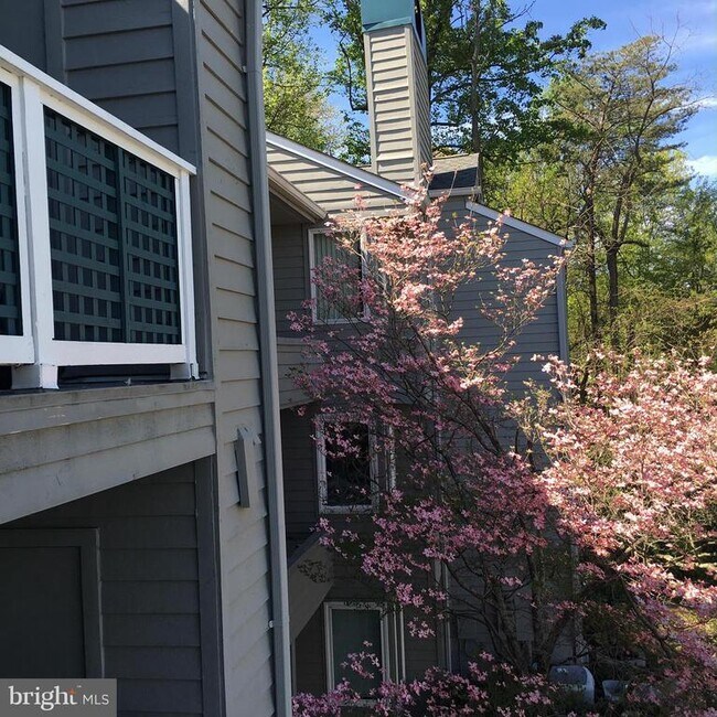 Foto del edificio - 11703 Summerchase Cir