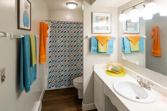 2BR, 1BA - 1000 SF - Oak Park