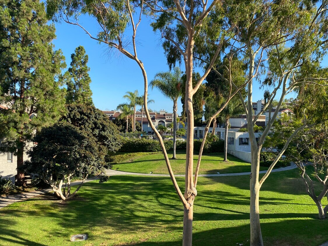 Hermosos jardines visibles desde el dormitorio principal y la sala de estar. - 5146 Dorado Dr