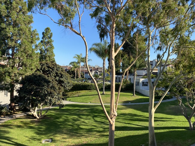 Beautiful grounds visible from master bedroom and living room - 5146 Dorado Dr