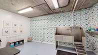 Located in South Orange, NJ, this dedicated pet grooming space is thoughtfully designed to meet all professional grooming needs within a compact, efficiently laid-out single-room suite. The room is immediately distinguished by its playful, dog-patterned wallpaper in shades of blue, navy, and cream, which covers multiple accent walls and gives the space a welcoming, pet-friendly personality.

The main grooming area is equipped with a professional-grade stainless steel bathing tub fitted with a handheld showerhead and a step-up ramp for easy pet access. Adjacent to the tub, a grooming table with an adjustable arm and a wall-mounted professional dryer provide a complete station for post-bath styling. A floor drain in the center of the room ensures efficient water management during bathing sessions.

The exposed concrete ceiling with visible pipes and overhead fluorescent lighting gives the space an industrial aesthetic, while the smooth, light gray epoxy flooring is both durable and easy to clean. A narrow entryway corridor with white walls, a ventilation unit, and a secured door with a windowed panel leads into the suite, offering a clear separation between the grooming area and the outside. A "Pet Grooming" wall decal marks the space with clear professional branding, completing this well-equipped and functional grooming environment.