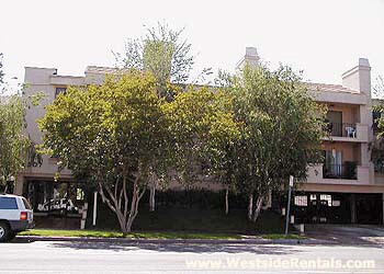 Foto principal - 4307 Whitsett Ave