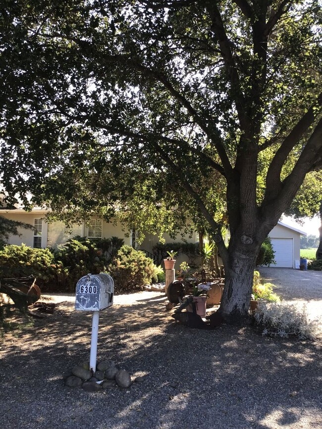 Foto del edificio - 3 Bedroom Home in Gilroy