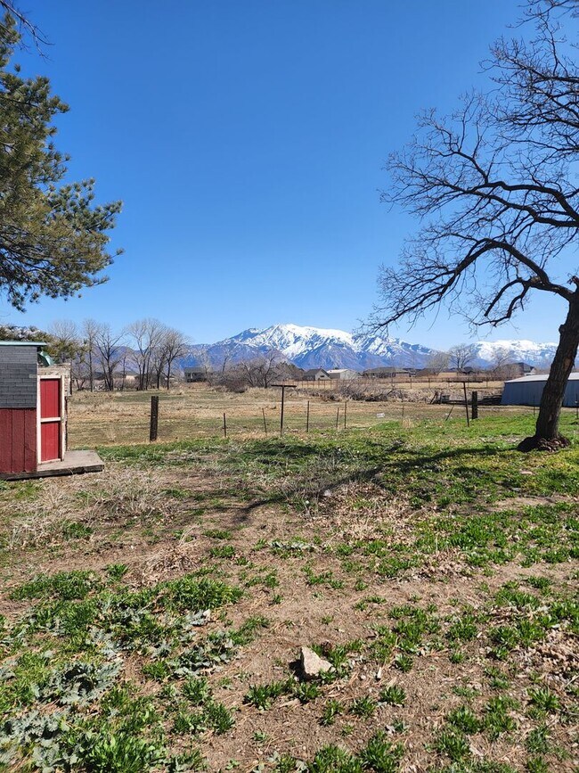 Building Photo - Newly Renovated 4 bedroom with land!