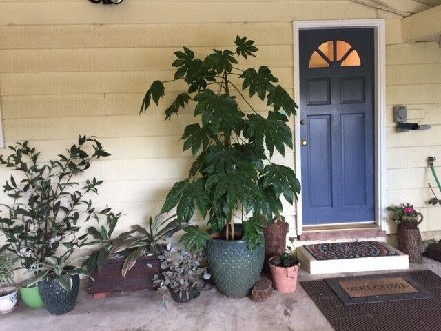 Main Entry - 18053 28th Ave NE