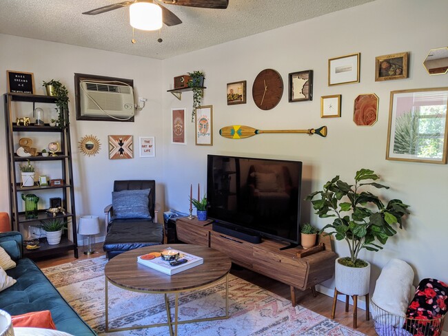 Living Room - 680 Juno Ave