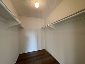 Building Photo - 3370 Calle La Veta