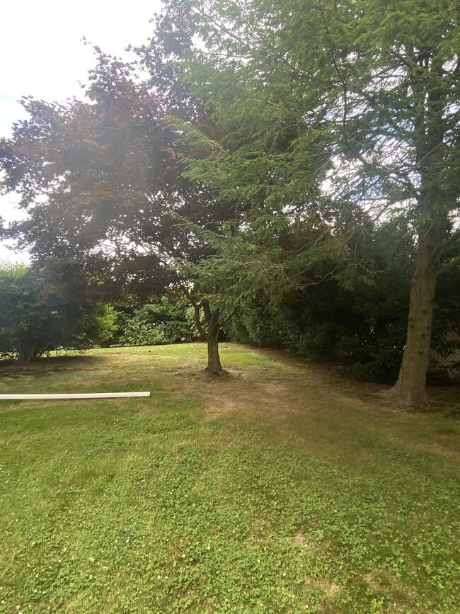 Yard - 40 Convent Rd