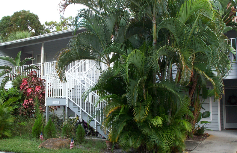 Foto principal - 1885 Courtyard Way