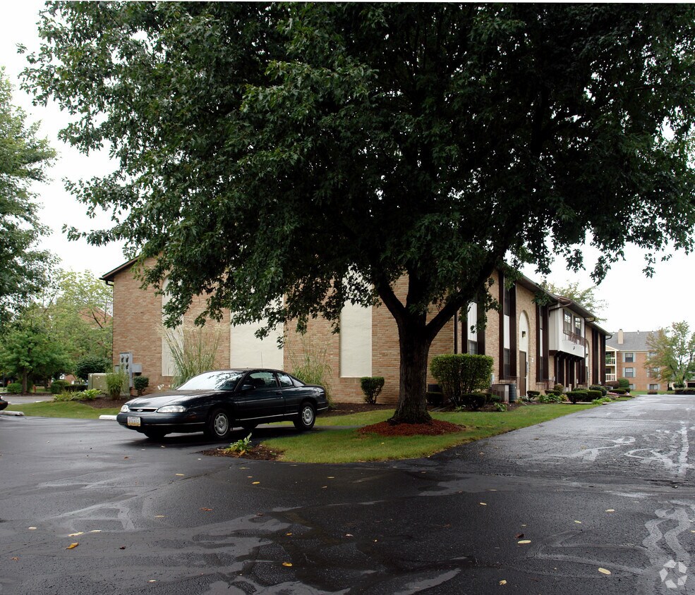 Building Photo - Elm Suites