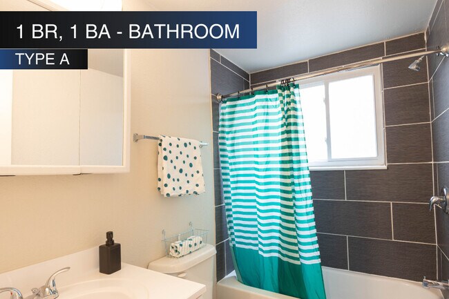 1 HAB, 1 BA - Baño (Tipo A) - Roman Villa Apartments