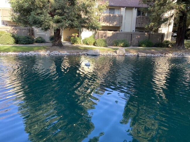 Foto del edificio - 3701 Colonial Dr