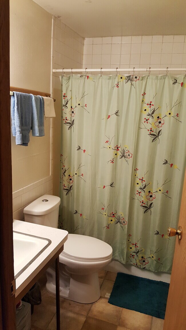 Bathroom - 729 Division St