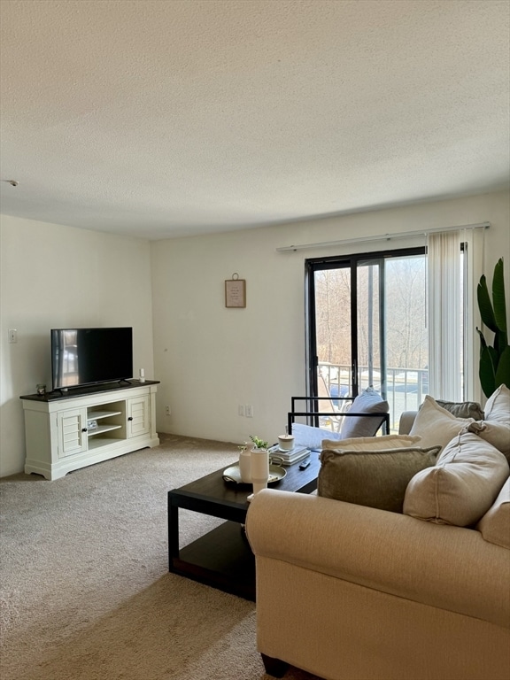 Foto del edificio - 59 Village Brook Ln