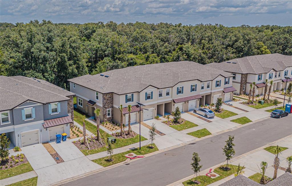 Primary Photo - 10210 Trumpet Honeysuckle Wy