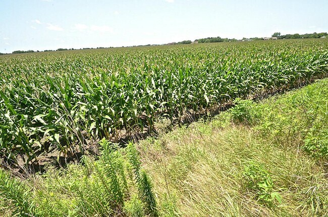 Foto del edificio - 4307 Sunflower Creek Ln